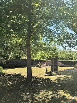 Baumbestattung - Friedhof Hugsweier