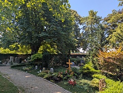 Friedhof Hugsweier - Sicht auf gärtnergepflegte Urnengräber